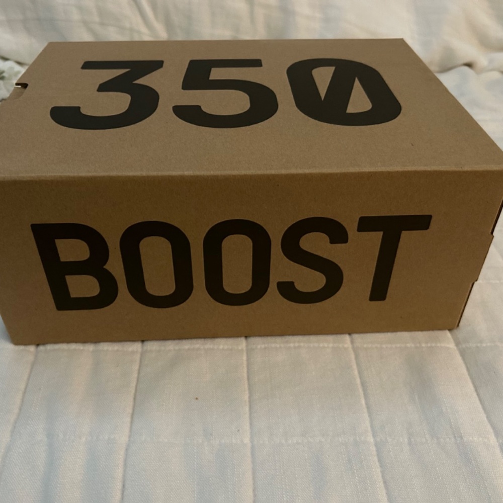 Yeezy Boost 350 Turtle - Picture 10 of 14